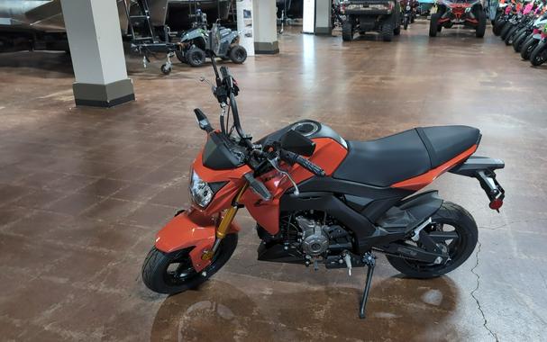 2025 Kawasaki Z125 PRO