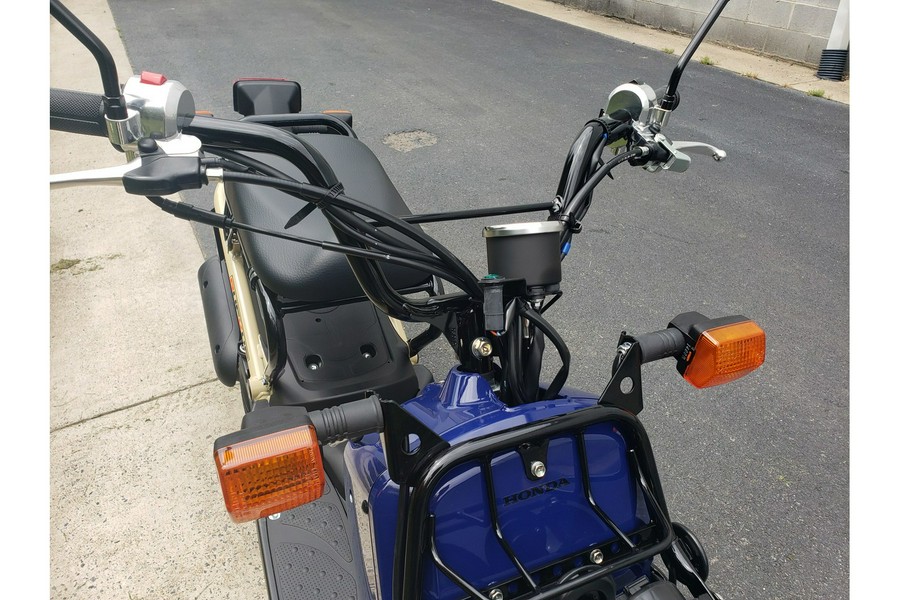 2023 Honda RUCKUS