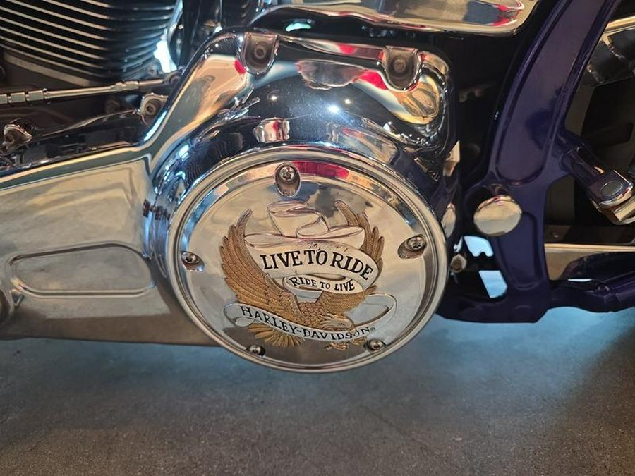 2014 Harley-Davidson® FXSBSE - CVO™ Breakout®