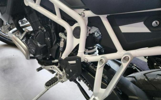 2025 Triumph Tiger 900 Rally Pro Matte Khaki Green / Matte Phan