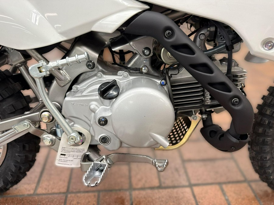 2026 Kawasaki KLX 110R