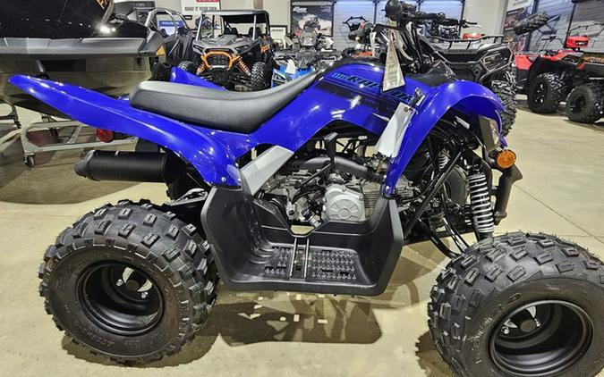 2024 Yamaha Raptor 110