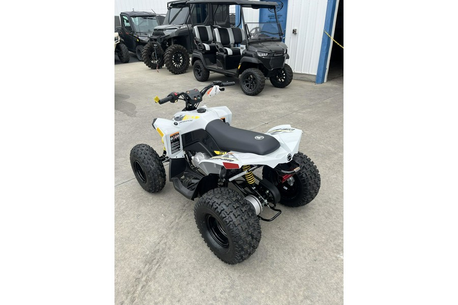 2026 RENEGADE 110 EFI - Can-Am