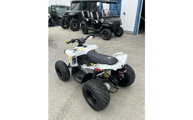 2026 RENEGADE 110 EFI - Can-Am