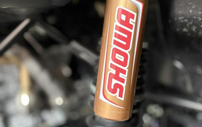 2025 Honda TALON X-4