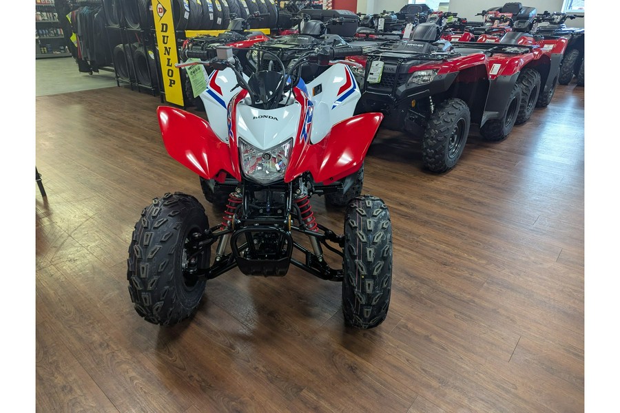 2026 Honda TRX250X