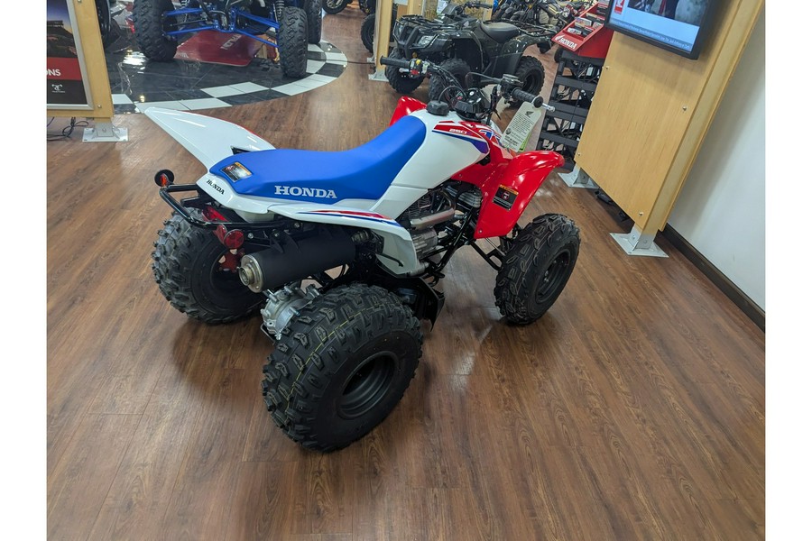 2026 Honda TRX250X
