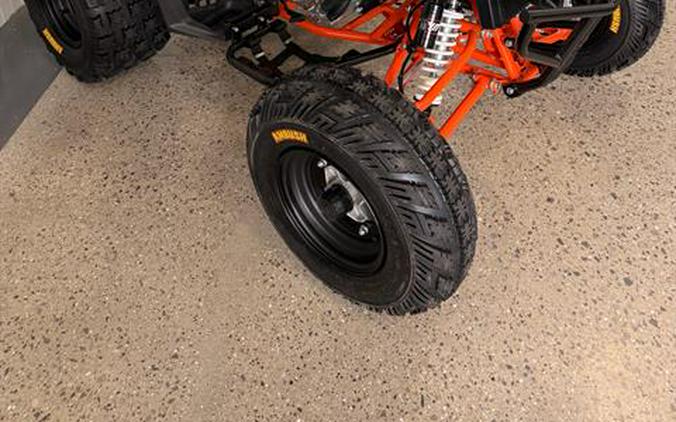 2026 Kayo Storm 300 EFI