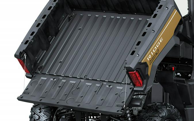 2025 Kawasaki RIDGE LIMITED HVAC Metallic Shadow Gold - 110294