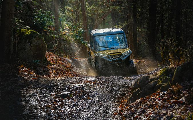 2025 Kawasaki RIDGE LIMITED HVAC Metallic Shadow Gold - 110294