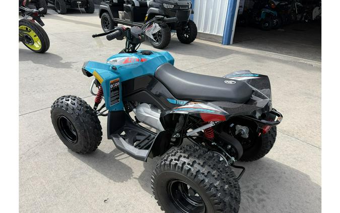 2026 RENEGADE 110 EFI - Can-Am