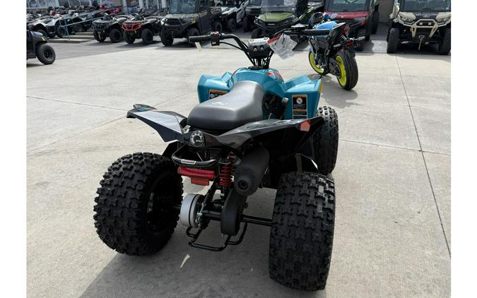 2026 RENEGADE 110 EFI - Can-Am