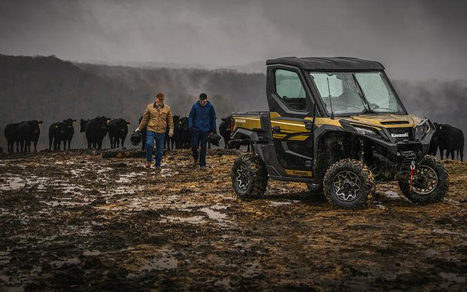 2025 Kawasaki RIDGE LIMITED HVAC Metallic Shadow Gold - 110293