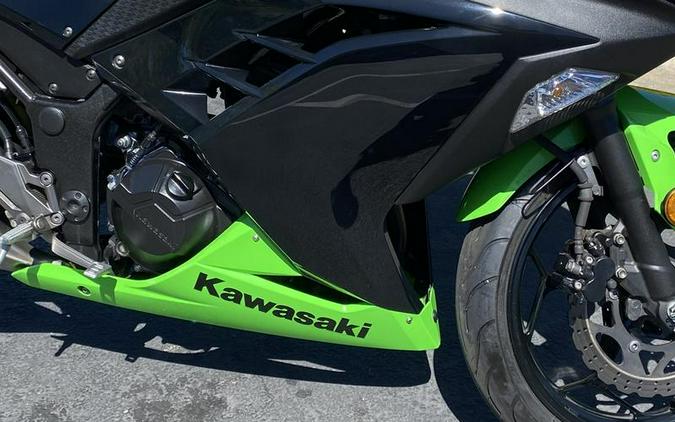 2013 Kawasaki Ninja® 300