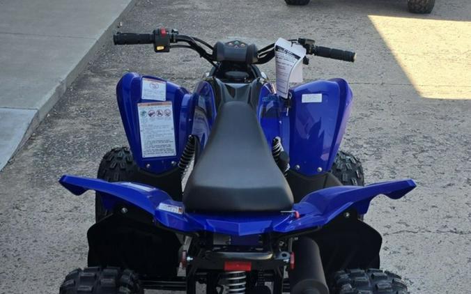 2025 Yamaha Raptor 110