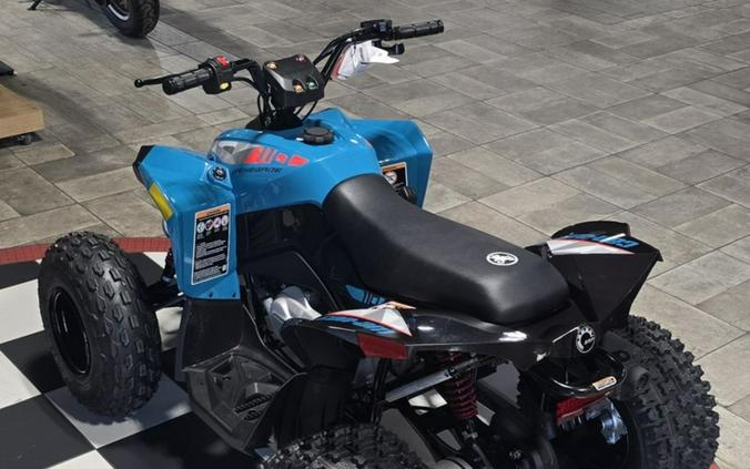 2026 Can-Am® Renegade 110 EFI