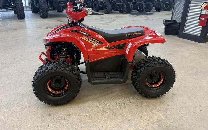 2026 Denago Powersports E-Hawk 6