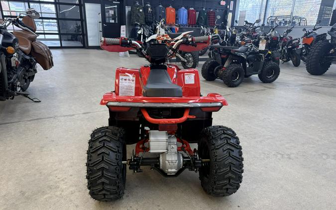 2026 Denago Powersports E-Hawk 6