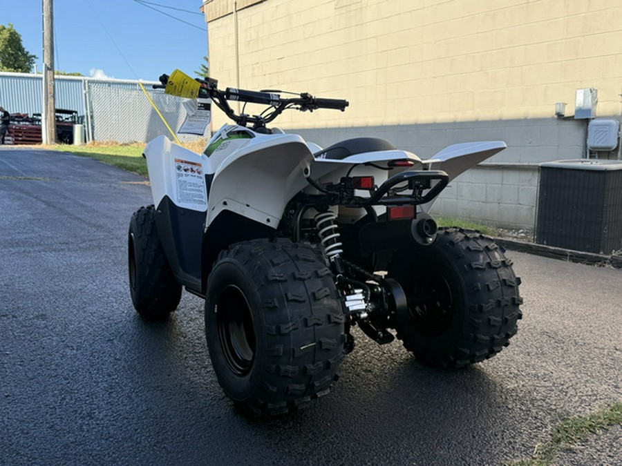 2027 Kawasaki KFX 50