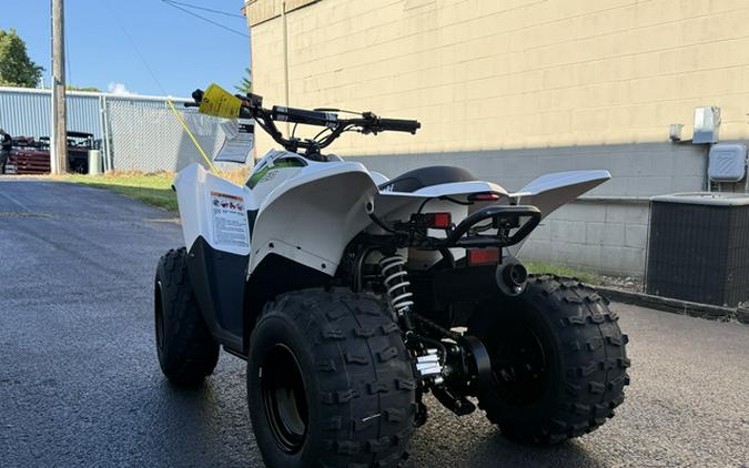 2027 Kawasaki KFX 50