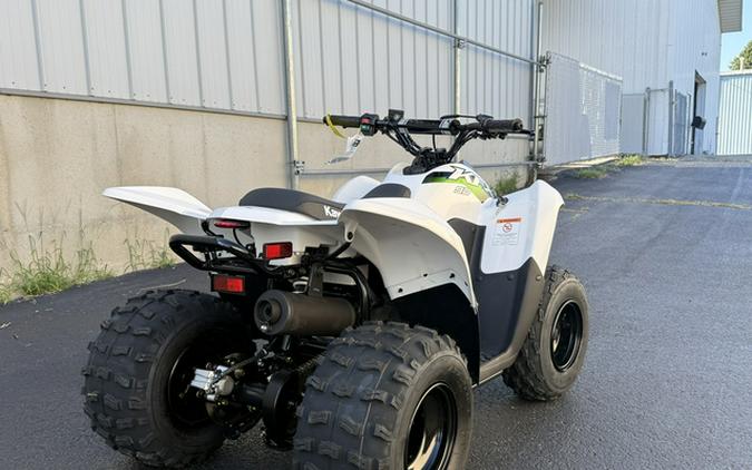 2027 Kawasaki KFX 50