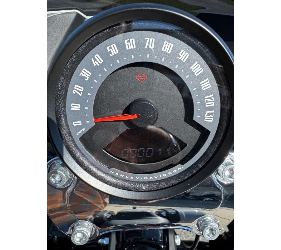 2025 Harley-Davidson® Low Rider® ST Billiard Gray