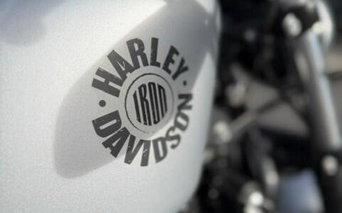 2020 Harley-Davidson Iron 883 Barracuda Silver Denim