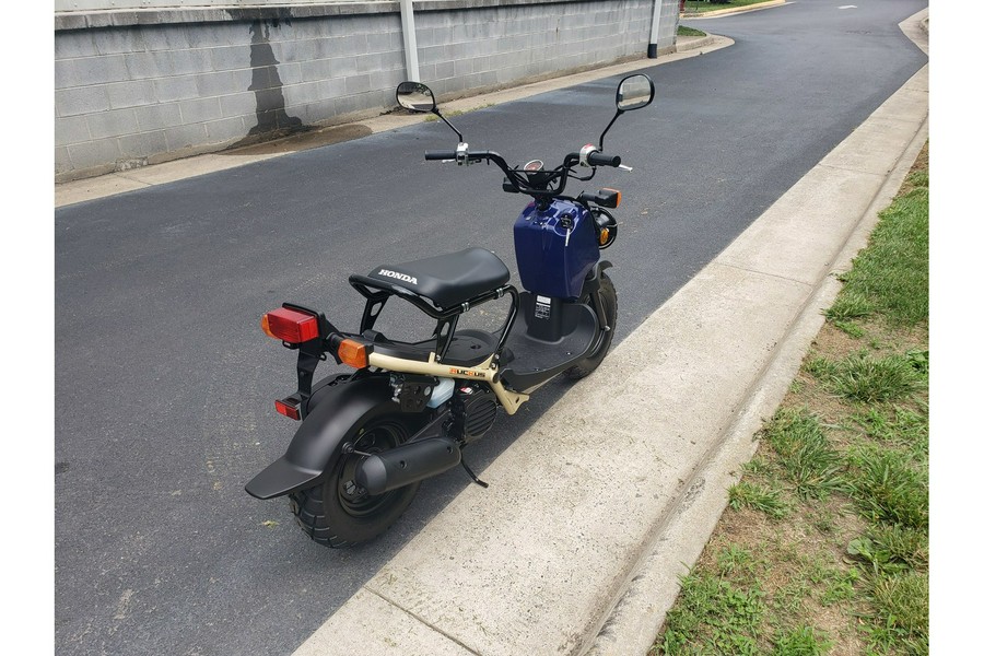 2023 Honda RUCKUS