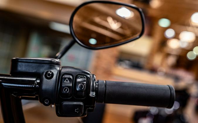 2019 Harley-Davidson Heritage Classic 107