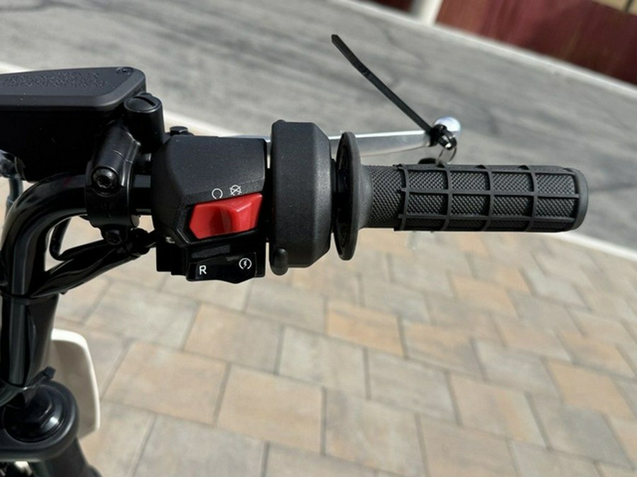 2027 LIVEWIRE S4 HONCHO TRAIL EV1