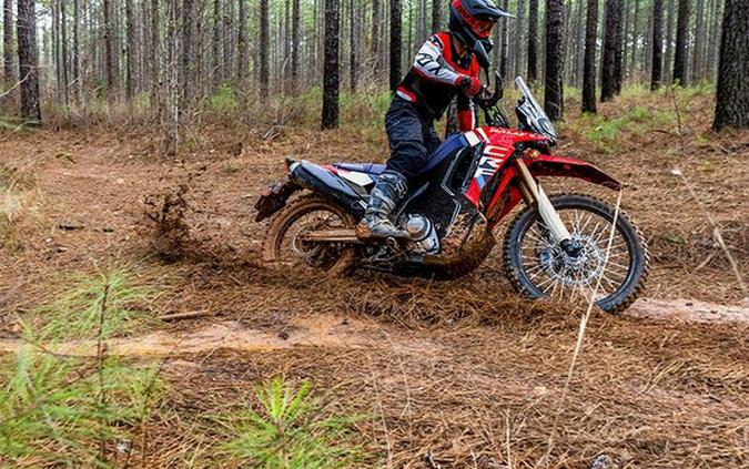 2025 Honda CRF300L RALLY ABS