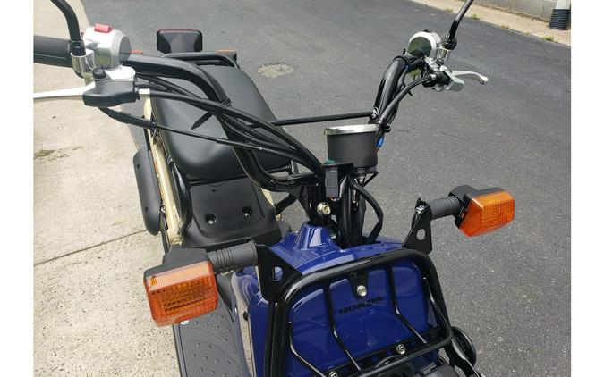 2023 Honda RUCKUS