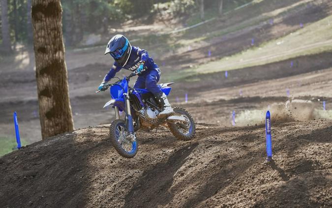 2024 Yamaha YZ65