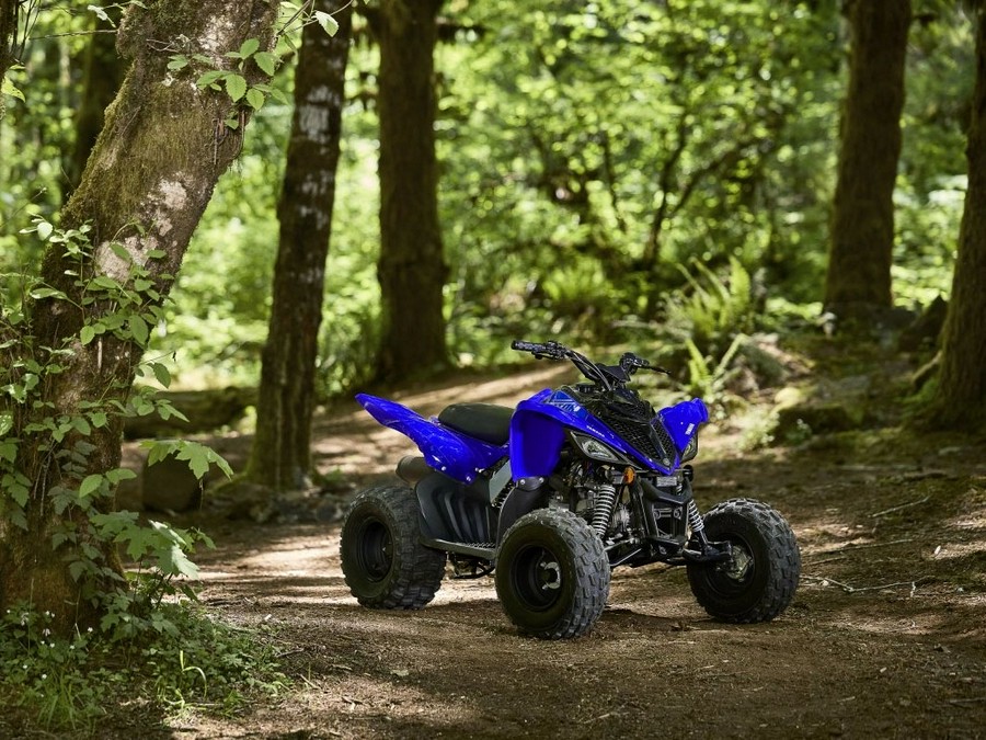 2026 Yamaha Raptor 110