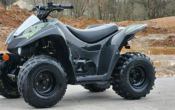 2022 Kawasaki KSX90