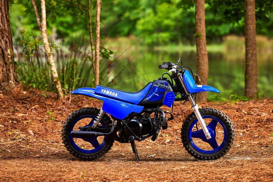 2024 Yamaha PW 50