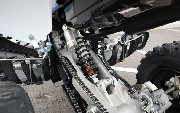 2026 Yamaha Raptor 700