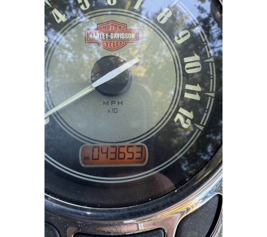 FLSTC 2016 Heritage Softail® Classic