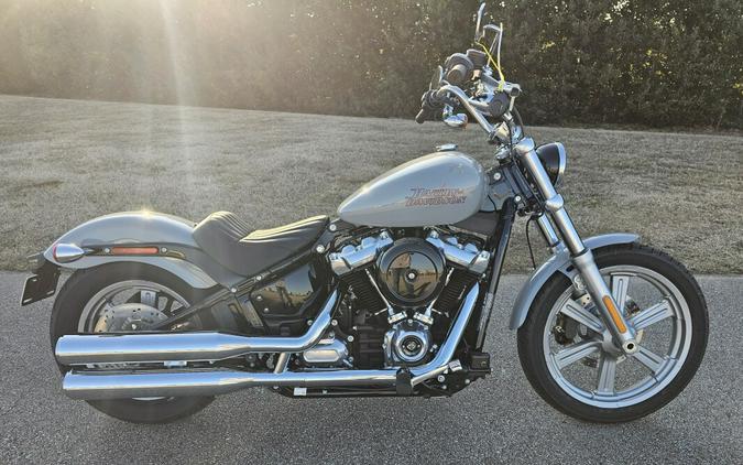 FXST 2024 Softail Standard