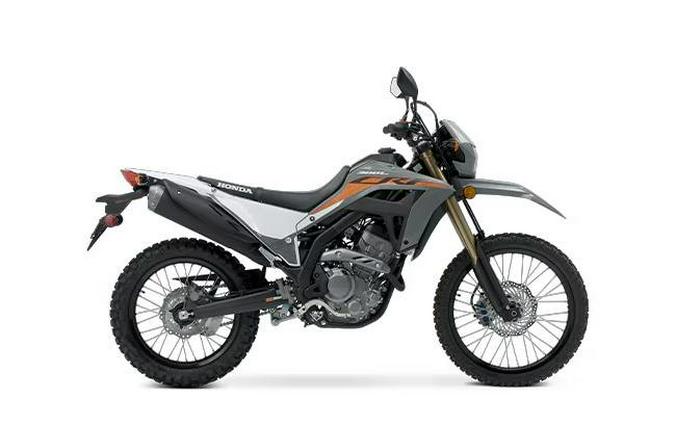 2024 Honda CRF® 300LS