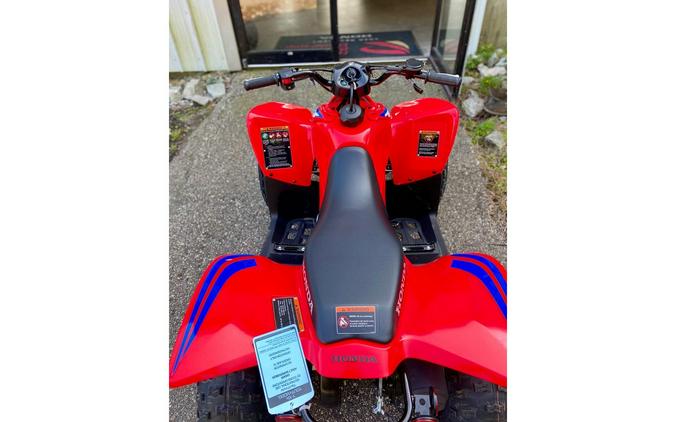 2024 Honda TRX90X