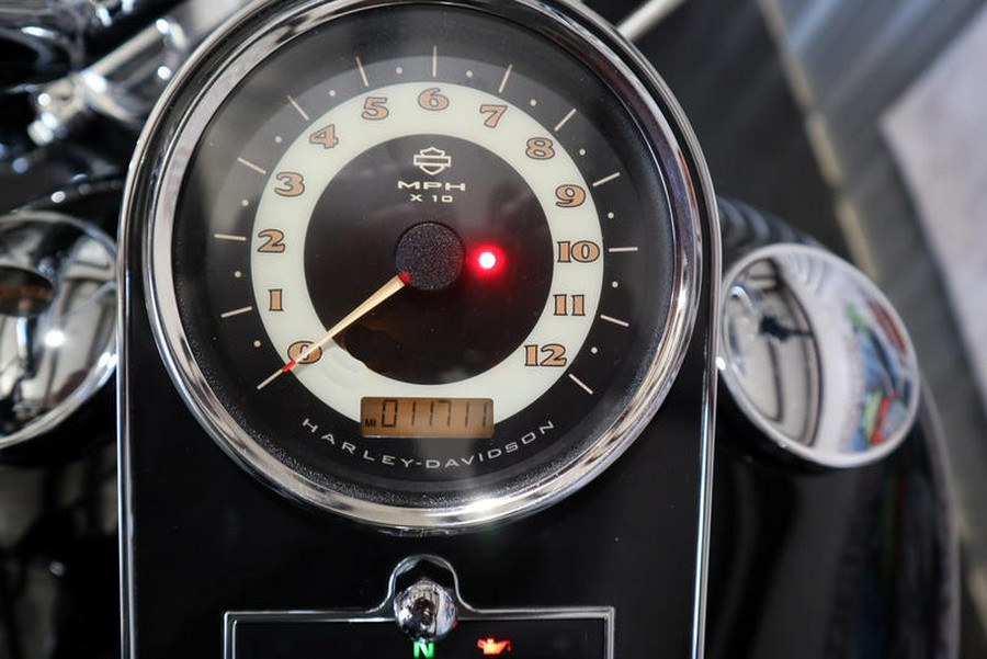 2015 Harley-Davidson® FLSTN103