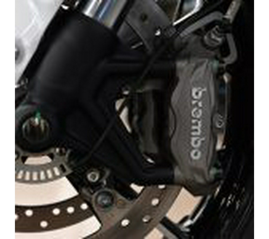 2025 Indian 101 Scout