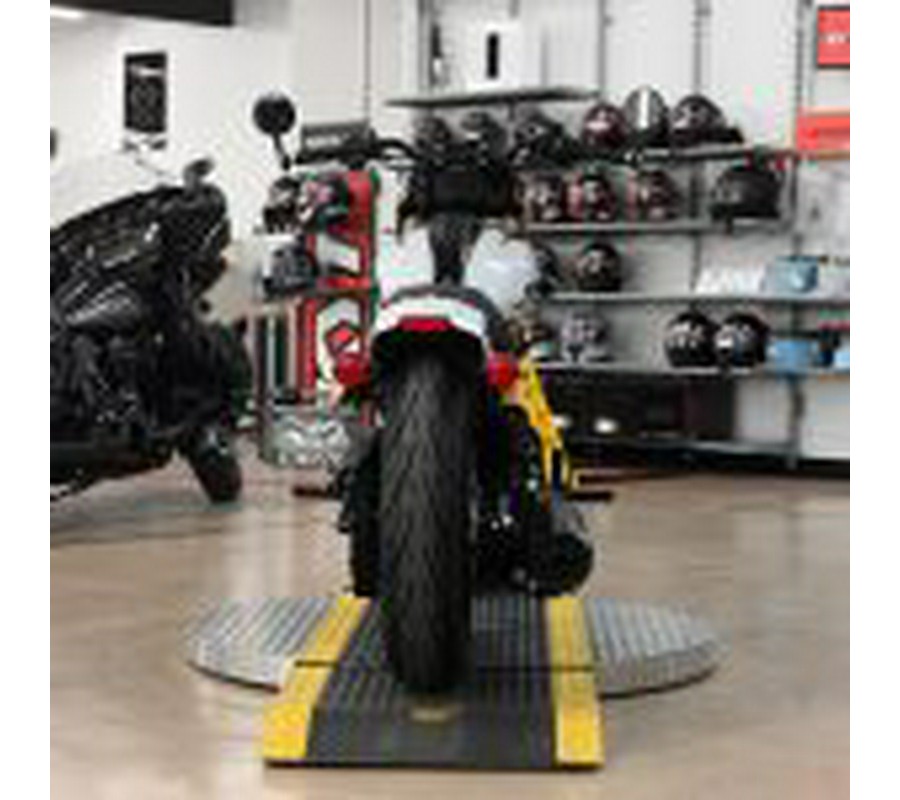 2025 Indian 101 Scout