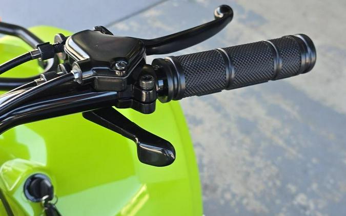 2026 Yamaha Grizzly 110