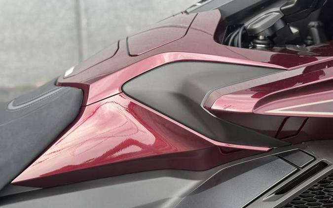 2025 Honda® Gold Wing Tour 50th Anniversary DCT