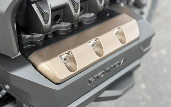 2025 Honda® Gold Wing Tour 50th Anniversary DCT