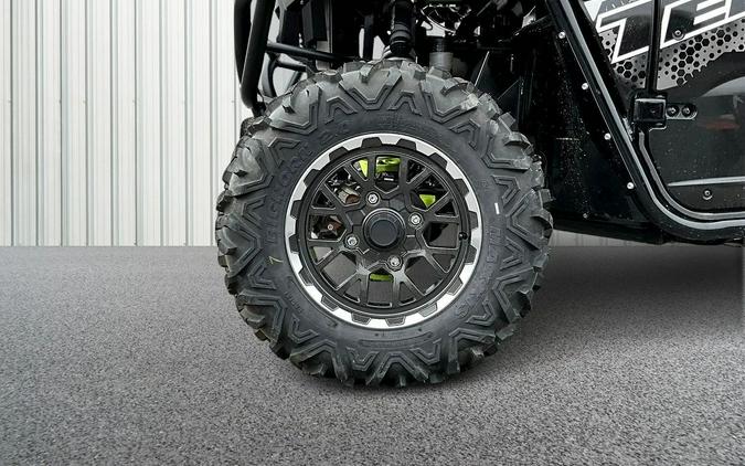 2025 Kawasaki Teryx4 S LE