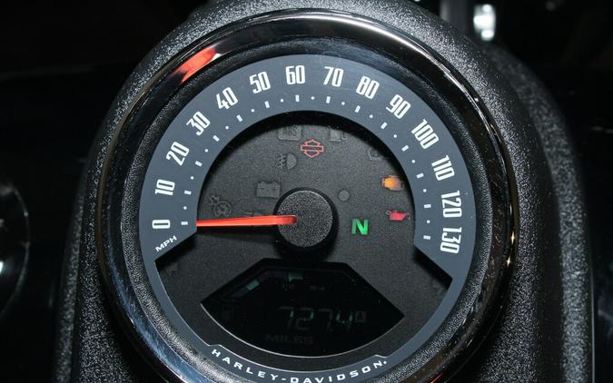 Used 2021 Harley-Davidson Low Rider S Cruiser FXLRS Motorcycle For Sale In Miami, Florida