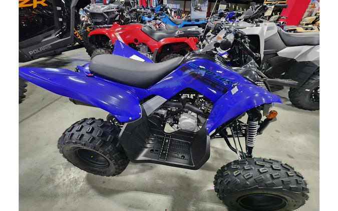 2024 Yamaha RAPTOR 110